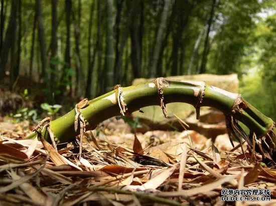 你若笃定,社会便不浮躁